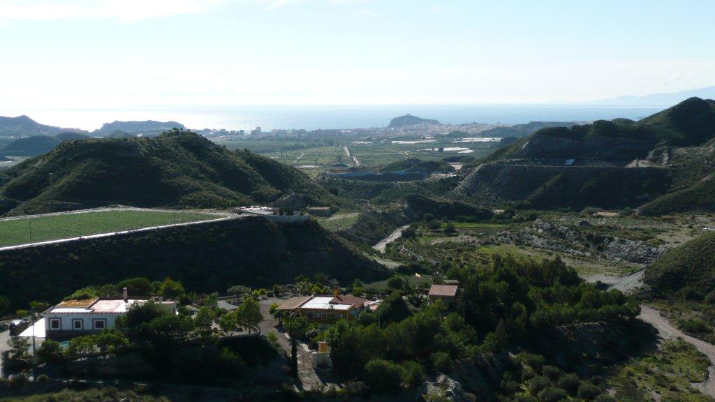 aguilas